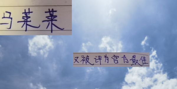 神奇一击! 马莱莱离开申花后 还能评为官方当轮最佳球员