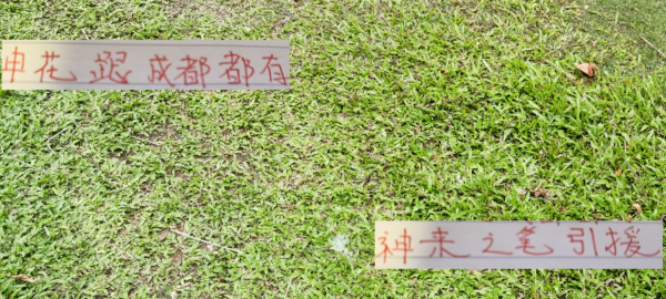 神来之笔的引援! 申花免签李可 成都蓉城租借德尔加多
